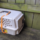 What foul manner of beast could they possibly be transporting in this cage?
